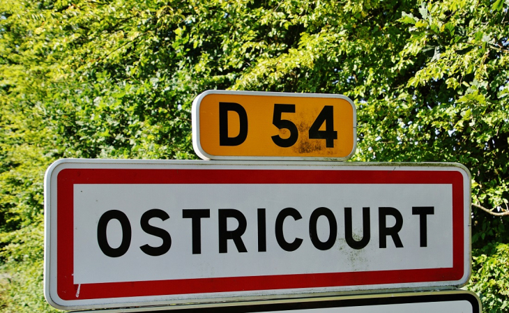  - Ostricourt