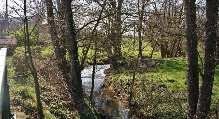 Ruisseau des Bultiaux - Preux-au-Sart