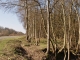 Photo précédente de Raismes La Forêt 