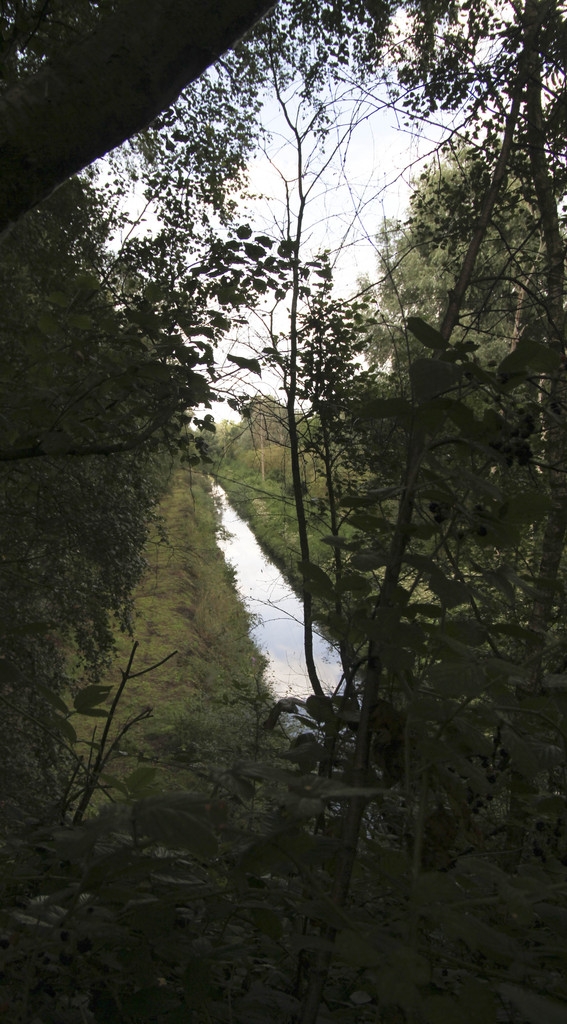 Promenade au terril - Roost-Warendin