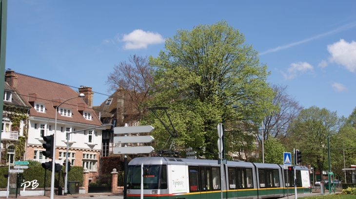 Tramway Lille Roubaix