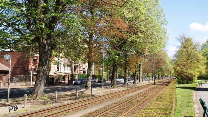 Voies du Tramway Bordant le Parc Barbieux - Roubaix