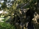 Photo suivante de Roubaix Grotte du Parc Barbieux