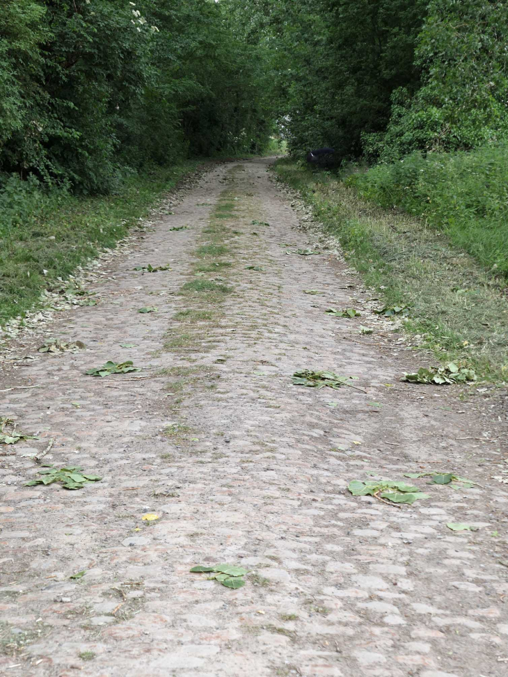 Le secteur pavé vers les champs - Roucourt