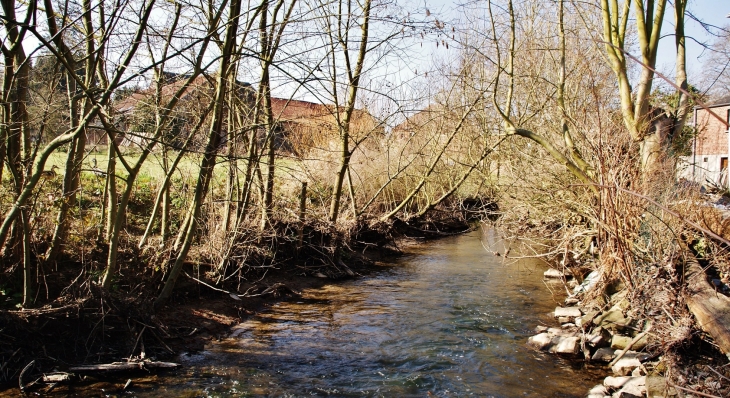 Ruisseau de Marvi - Saint-Waast
