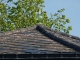 Photo suivante de Sars-Poteries les épis de faîtage  de retour sur les toits