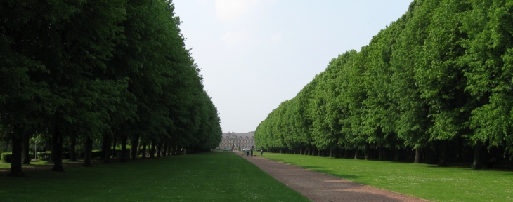 Allée d'arbres en face de la Mairie - Seclin