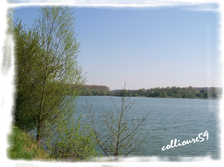 Lac du Héron - Villeneuve-d'Ascq