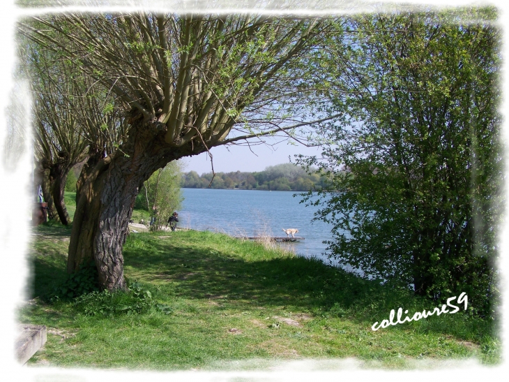 Lac du Héron - Villeneuve-d'Ascq