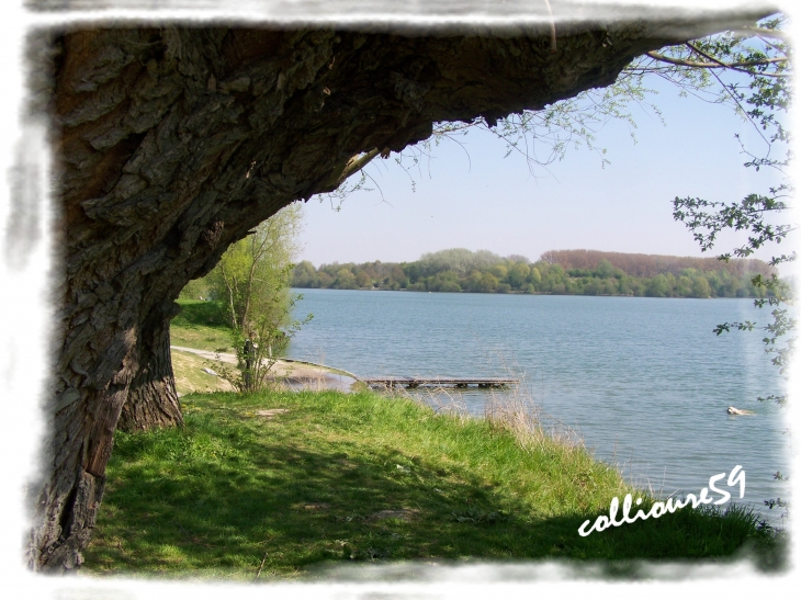 Lac du Héron - Villeneuve-d'Ascq