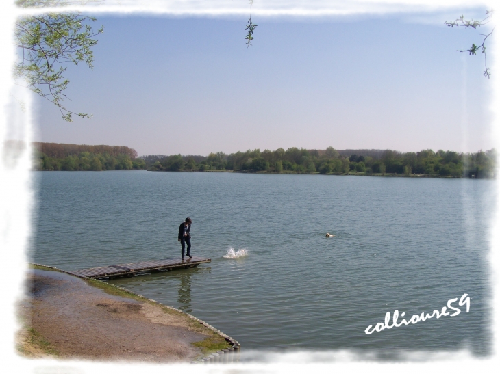 Lac du Héron - Villeneuve-d'Ascq