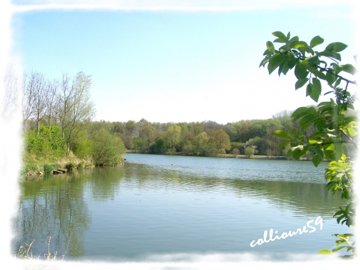 Lac du Héron - Villeneuve-d'Ascq