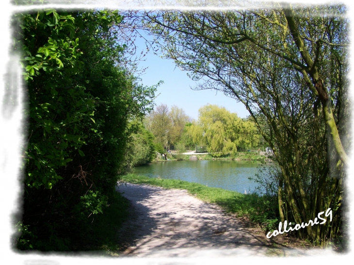 Lac du Héron - Villeneuve-d'Ascq