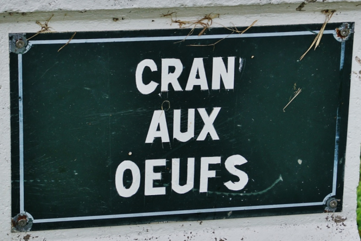 Cran-aux-Oeufs - Audinghen