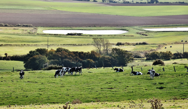 La Campagne - Bazinghen