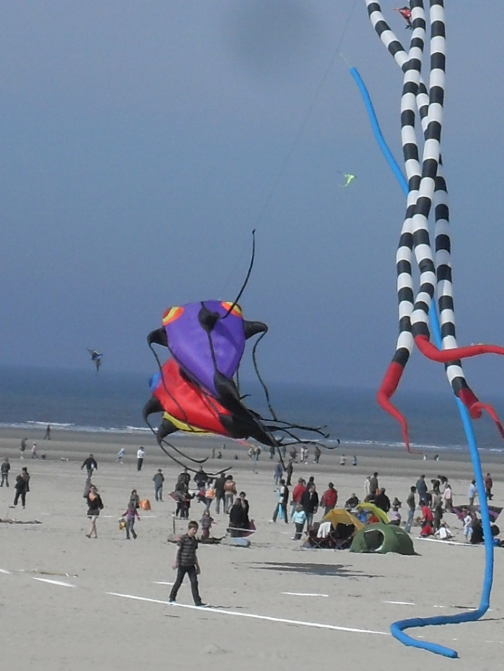 Cerfs volants - Berck