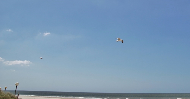 La Plage - Berck