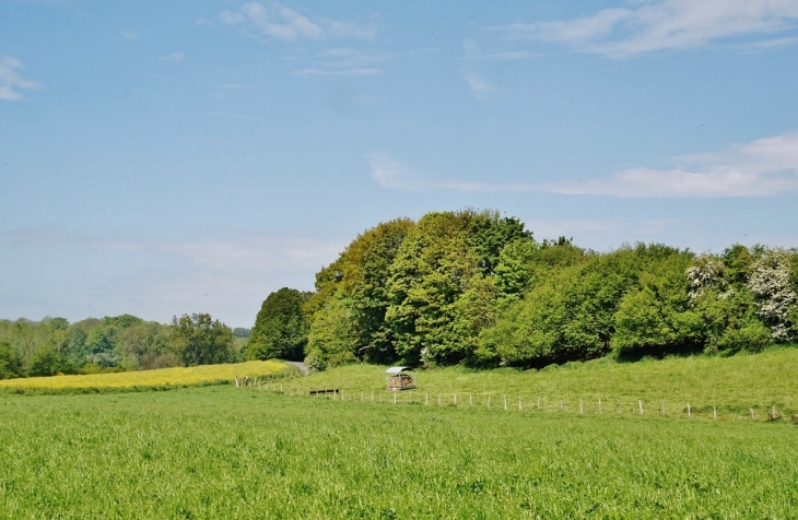 La Campagne - Beussent