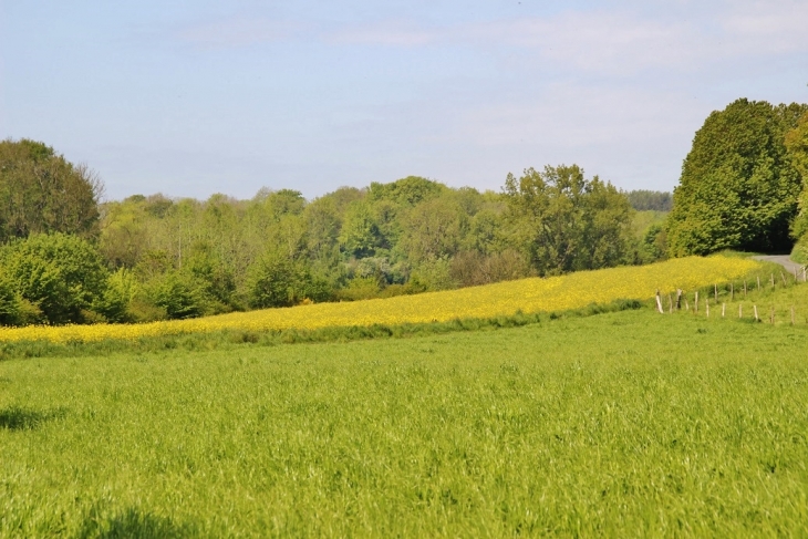 La Campagne - Beussent