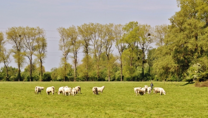 En Pâture  - Beutin