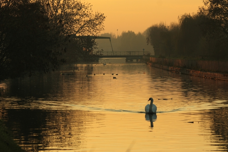 Fin de journée sur le canal de beuvry le pont dominique