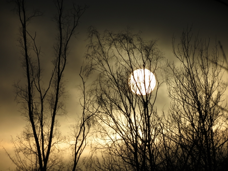 Coucher de soleil sur bellenville - Beuvry