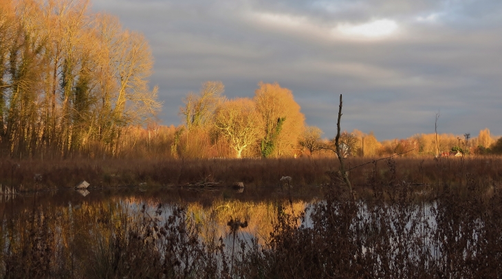 Coucher de soleil sur le fameux arbre a tototes de beuvry