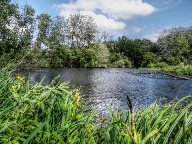 Marais de beuvry