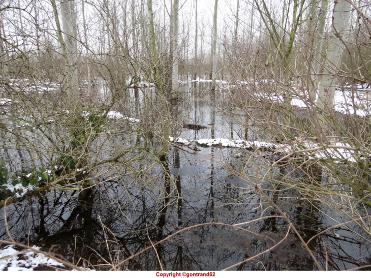 Fontaine hideuse derrière mon poulailler, elle était séche depuis des dizaines d'années et cette année!!! - Beuvry