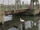 Photo suivante de Beuvry pont dominique par une grise journée de novembre 2011