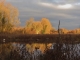 Photo suivante de Beuvry coucher de soleil sur le fameux arbre a tototes de beuvry