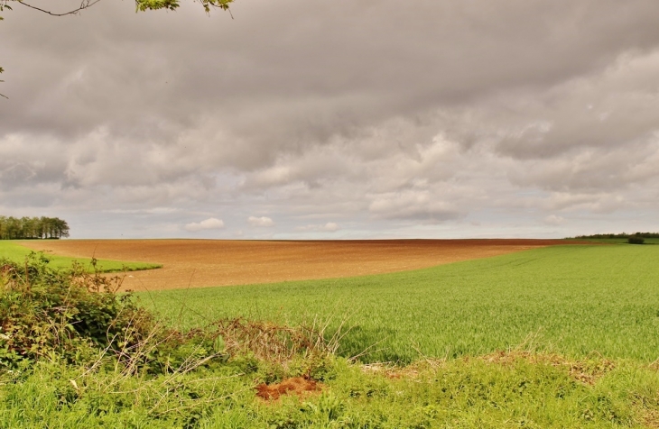 La Campagne - Bourthes