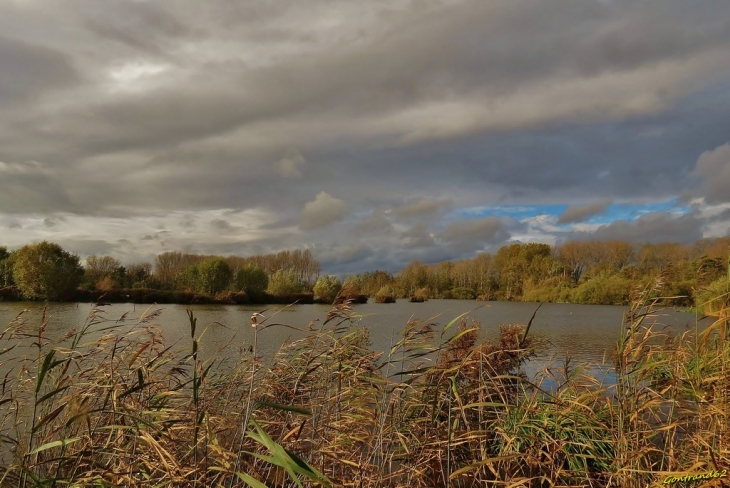 Automne sur le marais de cambrin