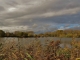 automne sur le marais de cambrin