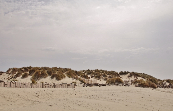 La Plage - Camiers