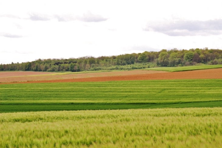 La Campagne - Campagne-lès-Boulonnais