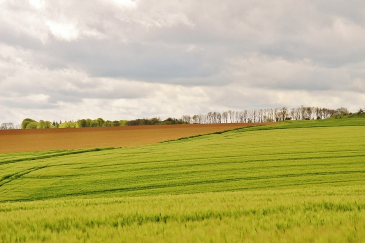 La Campagne - Campagne-lès-Boulonnais