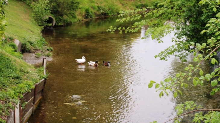 Ruisseau de Camiers ( Canard ) - Dannes