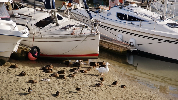 Le Port - Étaples