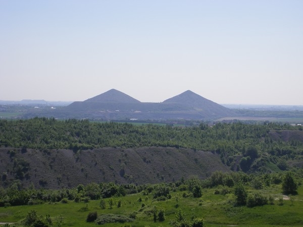 Les terril de grenay