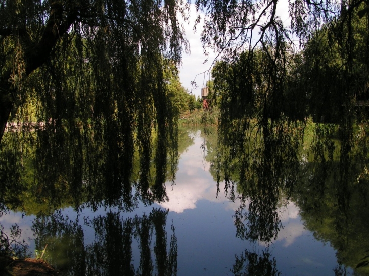 Etangs la Claire Fontaine - Hersin-Coupigny