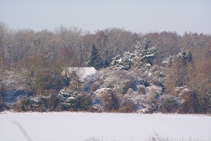 Sentier enneigé - Hersin-Coupigny