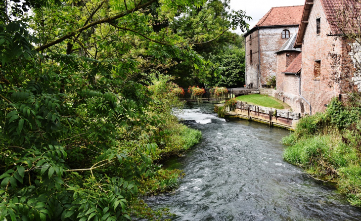 L'Authie - Labroye