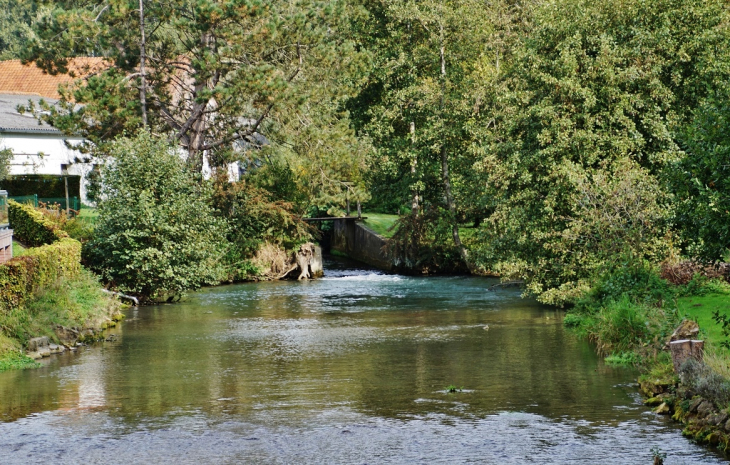 La Crequoise - Loison-sur-Créquoise