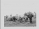 Photo précédente de Marquay moissons début 20é siècle
