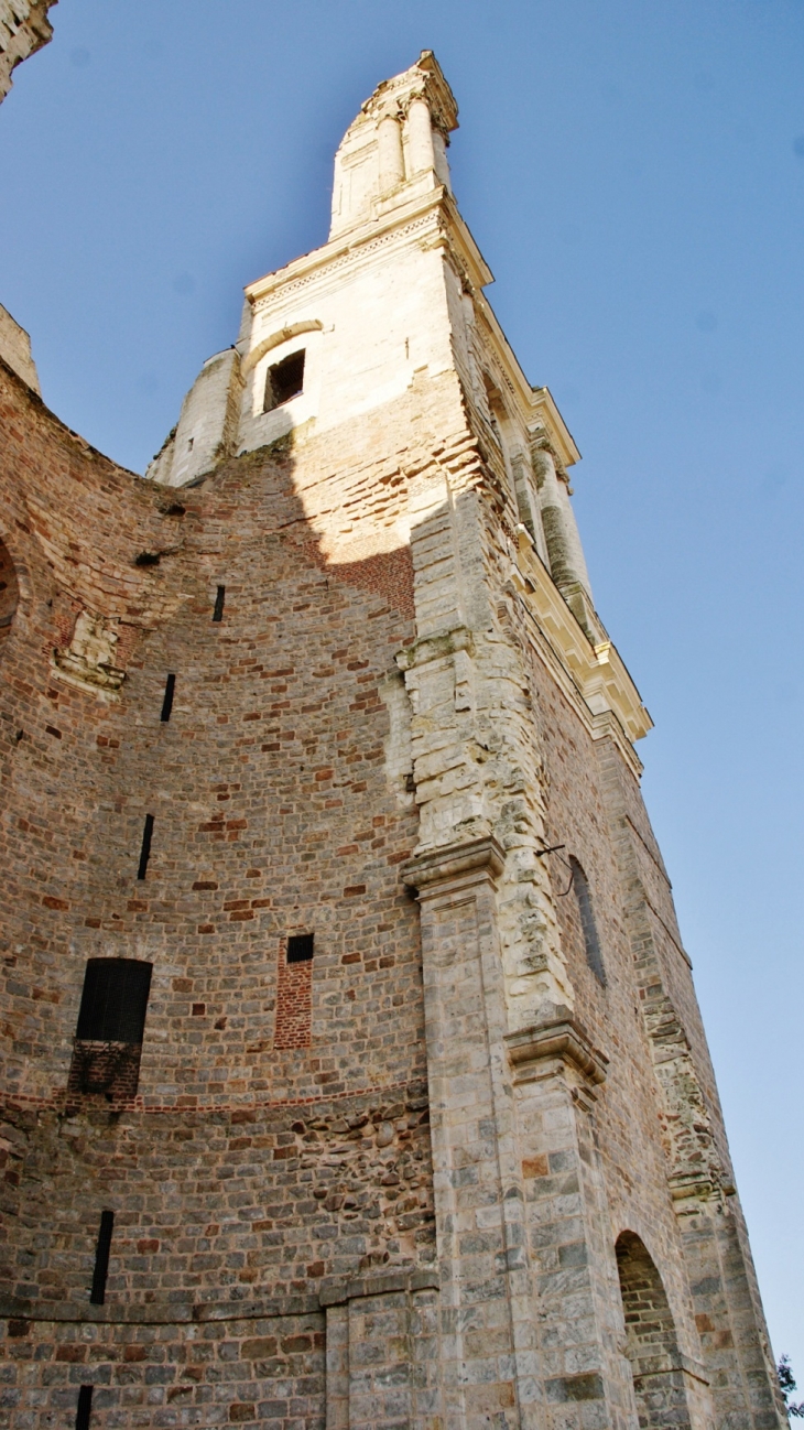 Ruines de L'Abbaye  - Mont-Saint-Éloi