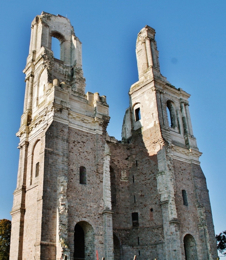 Ruines de L'Abbaye  - Mont-Saint-Éloi