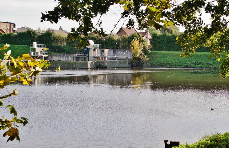 étang - Montigny-en-Gohelle