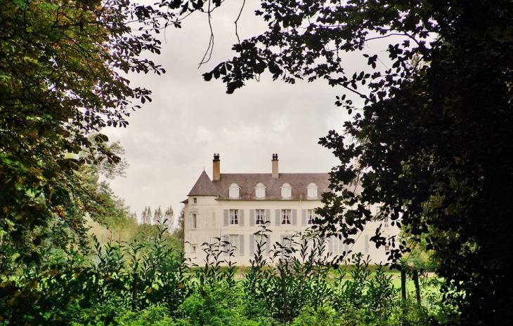 Château - Nielles-lès-Ardres