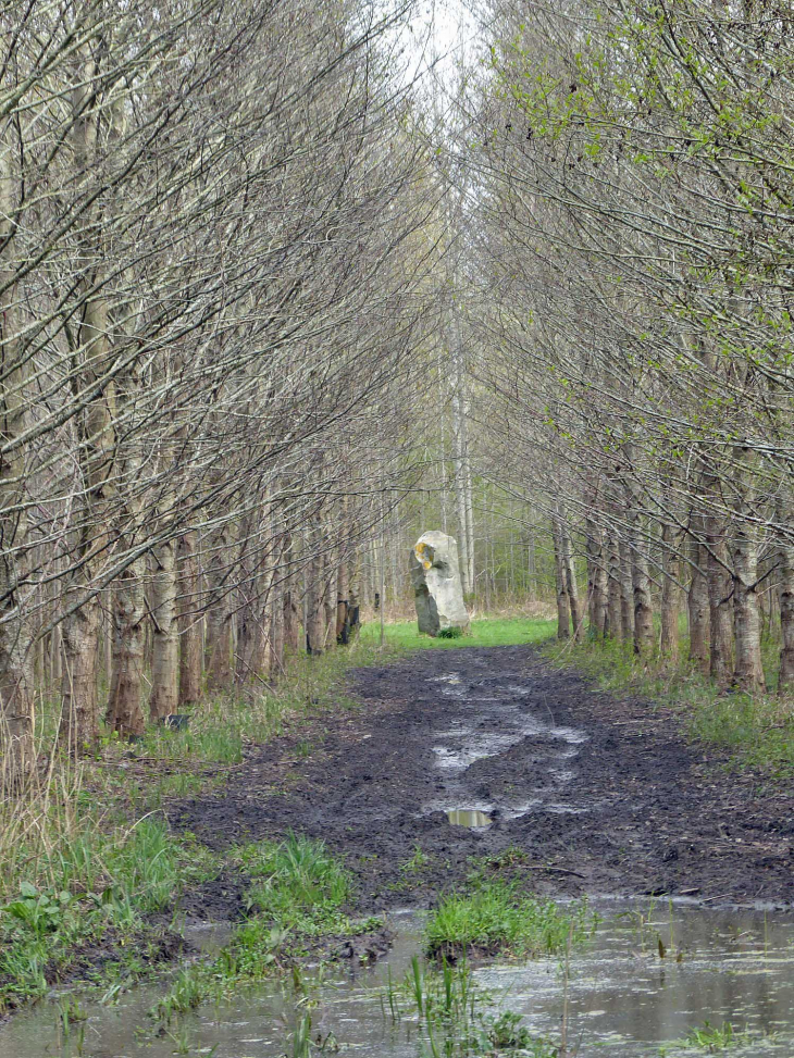 Le menhir - Oisy-le-Verger